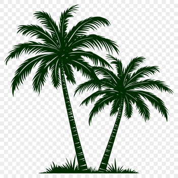 Illustrated palm tree with lush green foliage and trunk.