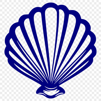 A detailed illustration of a seashell, designed as a vector graphic.