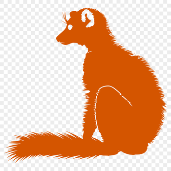 A detailed illustration of a lemur's full body, suitable for vector design.