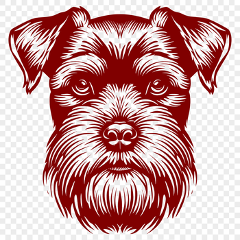 A detailed illustration of a miniature dog's head with distinctive facial features.