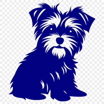 A small, adorable dog breed sitting on its hind legs, with a full body pose.