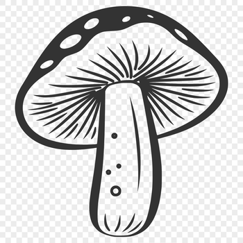 A detailed illustration of a mushroom, suitable as vector art for designs and crafts.