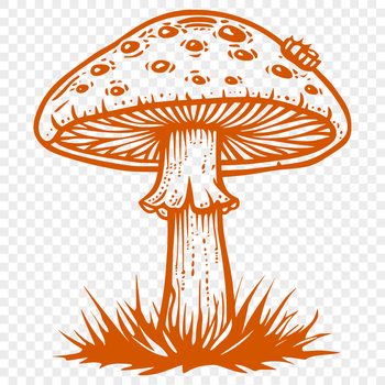 A vector illustration of a mushroom in various styles for graphic designers and crafters.