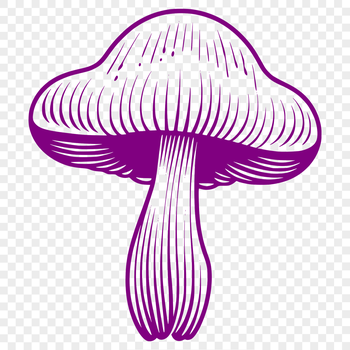 A high-quality vector illustration of a mushroom for commercial or personal use, suitable for various design applications.