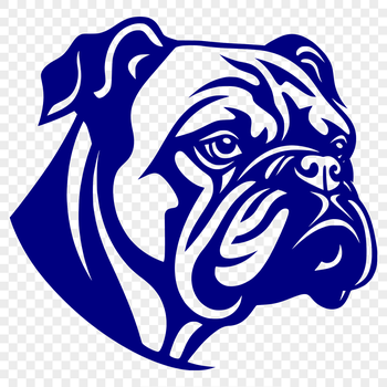 A stylized illustration of a Bulldog's head with details in a digital vector format.