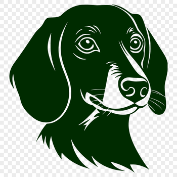 A vector illustration of a Dachshund's head, suitable for various digital designs.