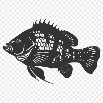 Vector art of a crappie fish with intricate details and realistic features.