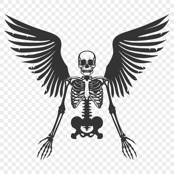 A detailed illustration of a skeleton in a human body pose, suitable for vector art design.