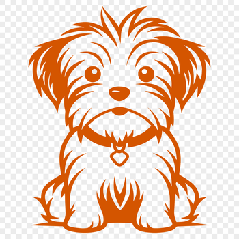 A small-sized dog with a mix of Yorkie and Maltese breeds sitting on its hind legs.