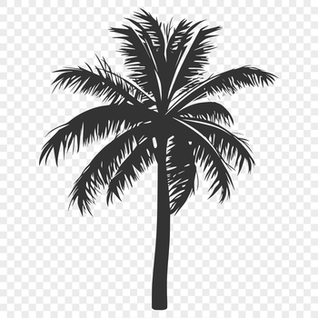 A single palm tree silhouetted against a bright blue sky.