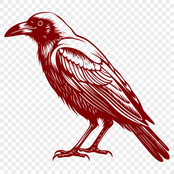 A full-body witch illustration surrounded by dark magic symbols and a raven, suitable for vector art projects.