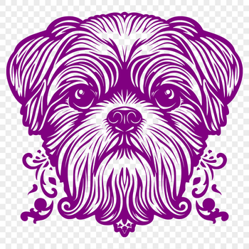 Small breed dog with long, flowing fur and a flat face.