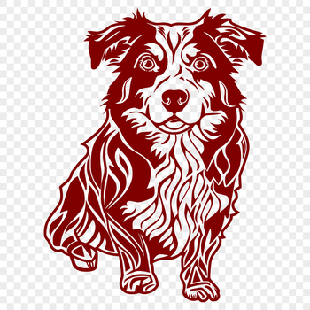 A full-body portrait of a sitting Australian Shepherd dog with a calm expression.