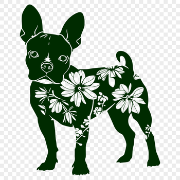A high-quality SVG illustration of a standing Boston Terrier dog in a floral setting.