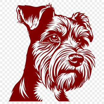 A detailed illustration of a small to medium-sized dog with distinctive beard-like facial features.