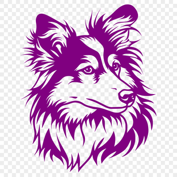 Illustration of a Shetland sheepdog's head, showcasing its distinctive features.