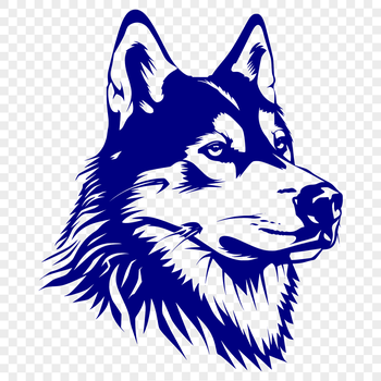 A close-up illustration of a Siberian Husky's head, suitable for vector art designs.