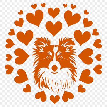 Shetland Sheepdog dog breed with heart symbols on its head.