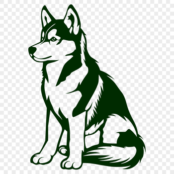 A full-body illustration of a sitting Siberian Husky dog, suitable for various digital design applications.