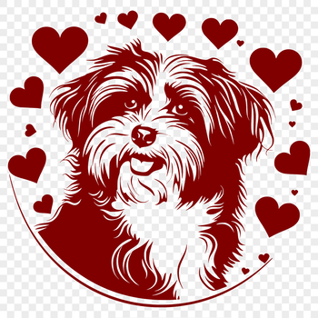 A illustration of a happy Havanese dog with heart symbols surrounding its head.