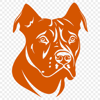 A detailed illustration of a pitbull's head from the front view, suitable for pet owners or animal enthusiasts.