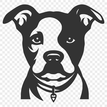 Free Unique Pitbull Digital Art