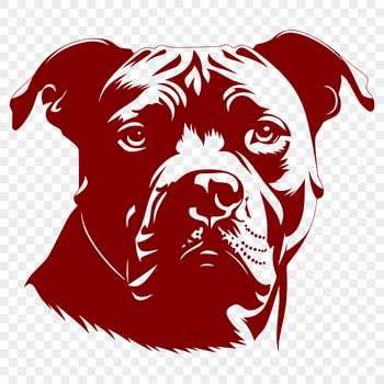 A head-on illustration of a Pitbull breed dog, suitable for digital designs.