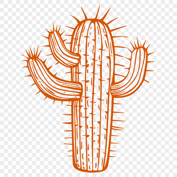 A detailed illustration of a desert plant with sharp spines and waxy stem.