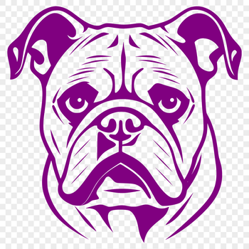 A close-up illustration of a Bulldog's head, showcasing the breed's distinctive features.