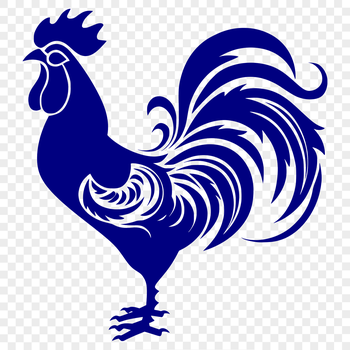 A detailed illustration of a domesticated chicken from the side, showcasing its plumage and body shape.