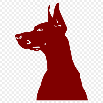 A close-up illustration of a Doberman Pinscher's head, showcasing its distinctive features.
