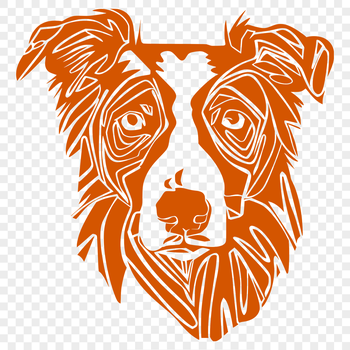 A breed-specific illustration of a friendly Australian Shepherd dog's head.