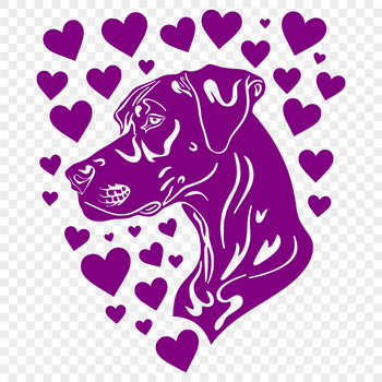 A large breed dog with a muscular head and loving expression.