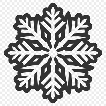 A delicate six-pointed snowflake with intricate symmetries.