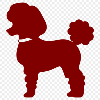 A full-body illustration of a standing poodle in a neutral pose.