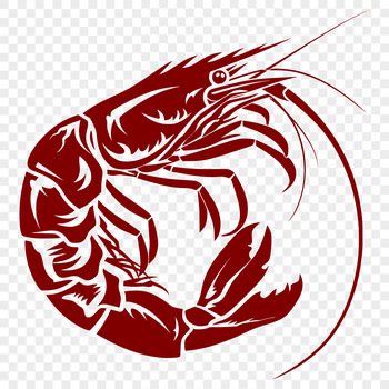 A realistic illustration of a whole shrimp, showcasing its segmented body and shell.