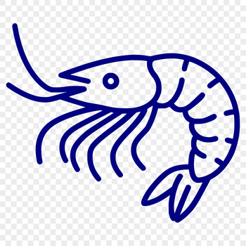 A simple line drawing of a full-bodied shrimp, suitable for various uses including crafting and design projects.