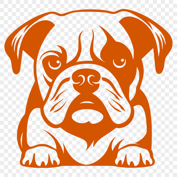 Close-up illustration of a bulldog's full body, suitable for digital design projects.