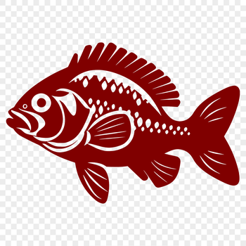 A detailed illustration of a Crappie fish with its full body visible, suitable for vector art.