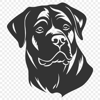 A detailed illustration of a Rottweiler dog's head, suitable for various uses including design and crafting.