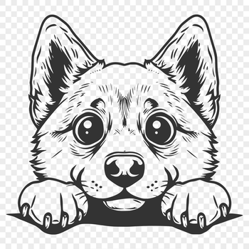 A digital illustration of a Japanese breed dog with a distinctive fox-like face, captured in a vector format.
