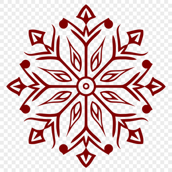 A detailed ornate snowflake design created in vector format.