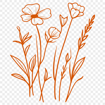 A colorful illustration of a wild flower in full bloom.