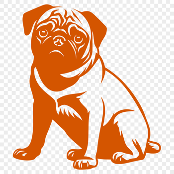 Stunning Pug PNG