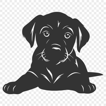 A detailed illustration of a Labrador Retriever in full body pose, ideal for design projects.