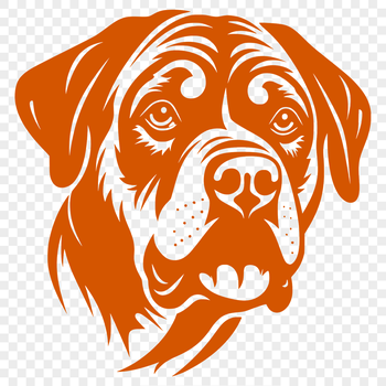 Vector illustration of a close-up rottweiler's head with detailed features.