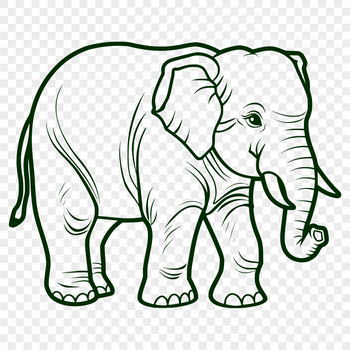 A full-body illustration of a standing African elephant.