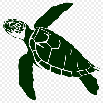 A detailed illustration of a sea turtle in full body view, suitable for various designs and projects.
