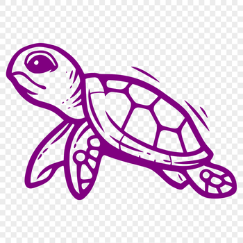 A detailed illustration of a full-body sea turtle with its shell and flippers visible.