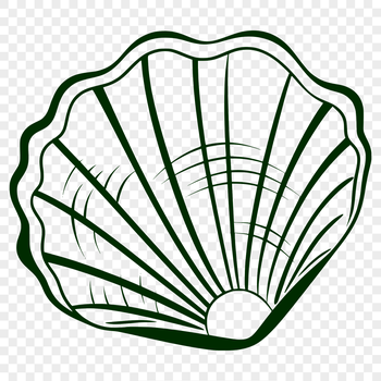 A detailed digital illustration of a seashell found on the seaside during vacation.
